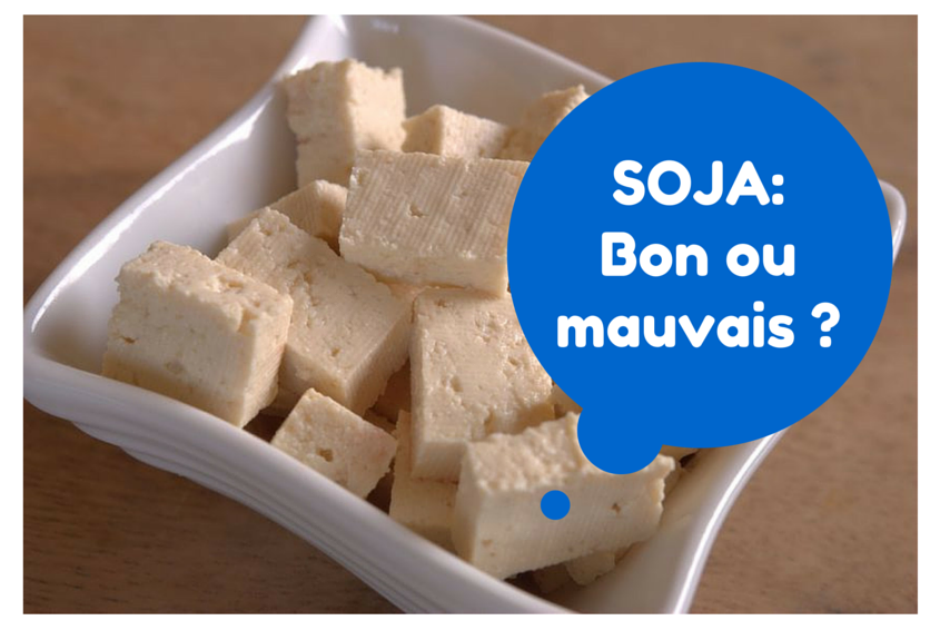 SOJA_Bon-ou-Mauvais-_